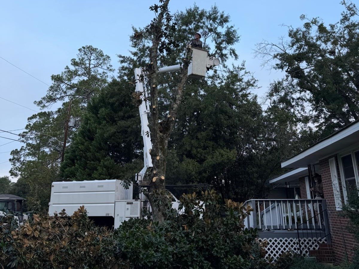 El Costeño Tree Service LLC
